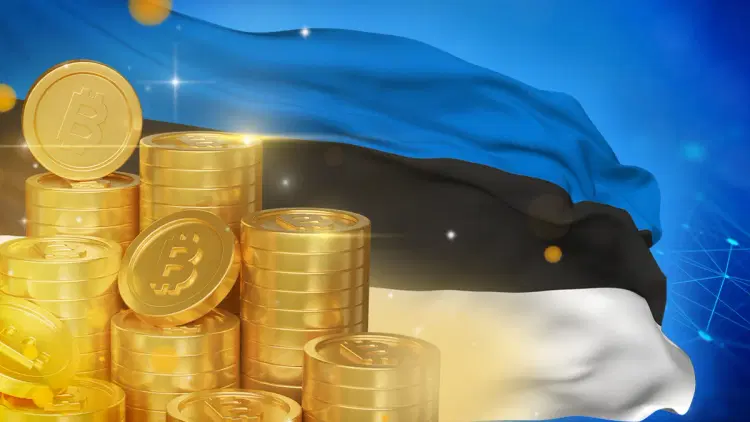 Crypto Regulation and Taxes in Estonia (2024 Guide)